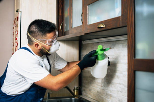 Best Pest Removal Services  in Marion, KS