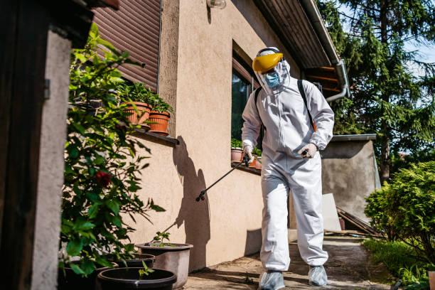 Best Flea Control Services  in Marion, KS