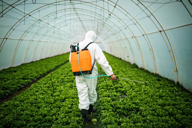 Best Pest Prevention Services  in Marion, KS
