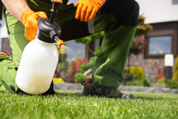 Best Affordable Pest Control Services  in Marion, KS