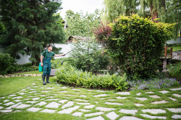 Best Pest Removal Services  in Marion, KS