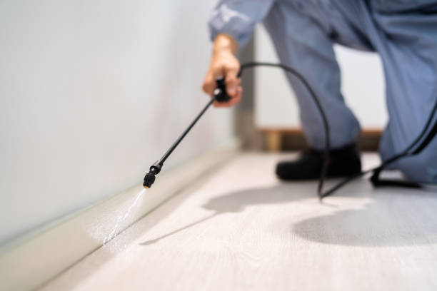 Best Affordable Pest Control Services  in Marion, KS