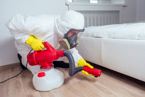 Flea Control Services in Marion, KS