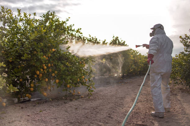 Best Pest Inspection Near Me  in Marion, KS