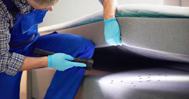 Pest Control for Restaurants in Marion, KS