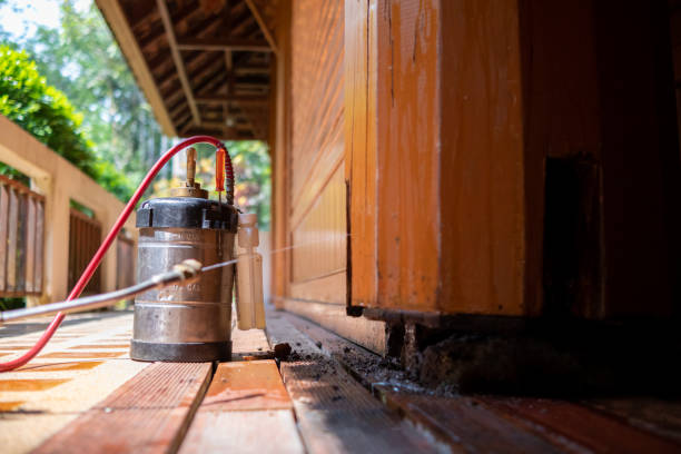 Best Pest Control for Homes  in Marion, KS