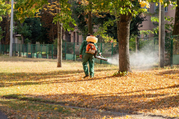 Best Emergency Pest Control  in Marion, KS