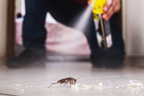 Reliable Marion, KS Pest Control Solutions